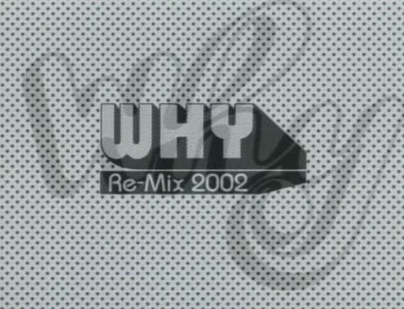 Постер аниме Причина: Ремикс 2002