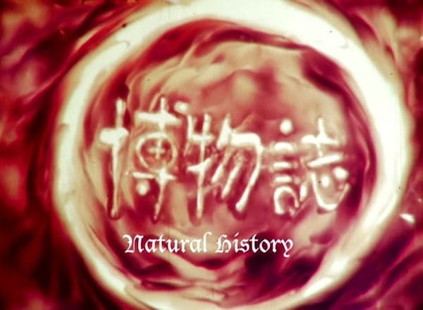 Постер аниме Естественная история